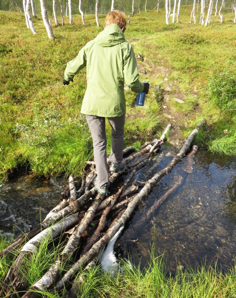 fun negotiating a bridge of sticks