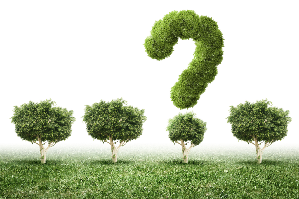 How questions can improve the performance of your team