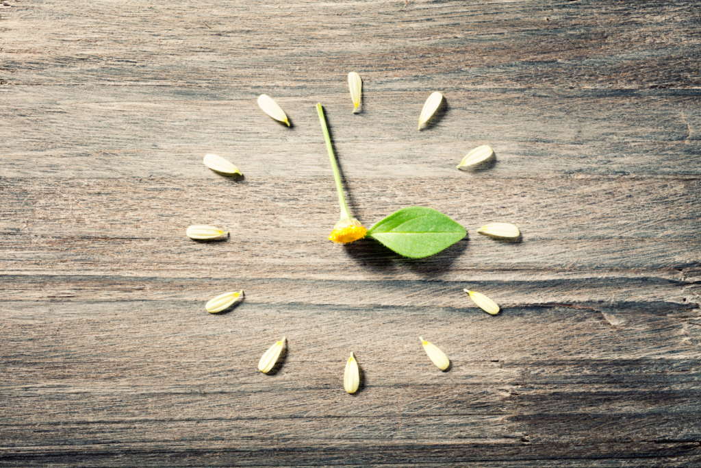 How do I find the time for a Sales Mentor