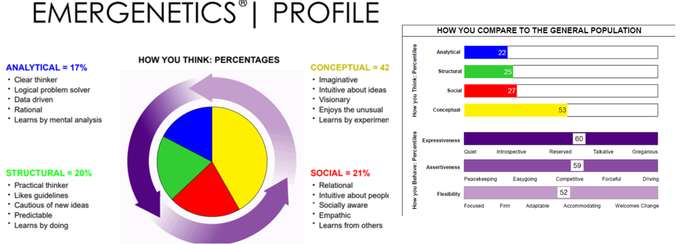 A sample Emergentics profile showing the different scores including the Flexibility focus and agile leadership
